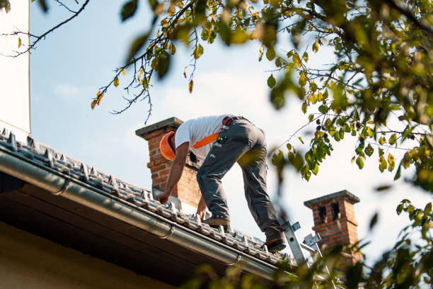 Best Storm Damage Roof Repair  in Chapel Hill, TN