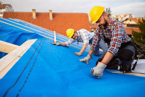 Reliable Chapel Hill, TN Roofing Contractor Solutions