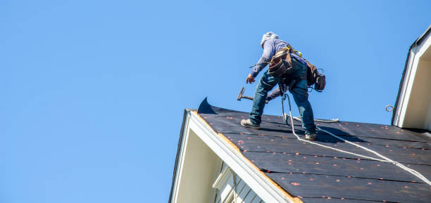 Best Storm Damage Roof Repair  in Chapel Hill, TN